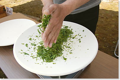 焙炉でお茶を手作りの実践