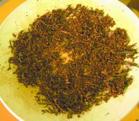 ����ɔ��y�����čg���ɂȂ�