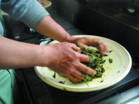 ���t�𝆂�