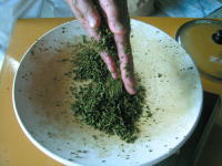 ����ɒ��t�𝆂�