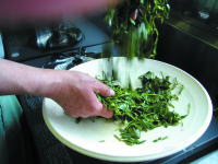 ���t�𓊂�����