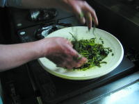 ���t�𝆂�